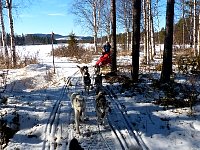 Forest trail