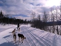 On freshly graded trails