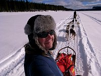 Dog sledding with music