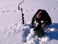 Getting water for the dogs