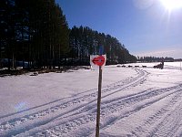 Dog sledding in Sweden