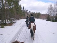 Horse riding in snow
