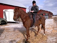 Back at the stables