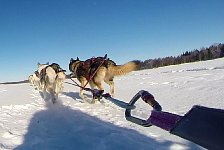 Sled point of view