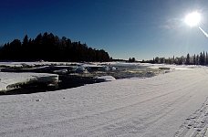 Dogsledding on the Vindel River