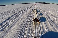 Dogsledding on the Vindel River