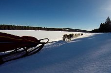 Dog sled from side