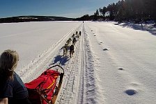 Dog sled and me