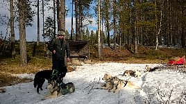 Dogsledding rest stop