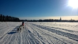 Dogsledding on the Vindel River