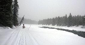 Dogsledding along the river