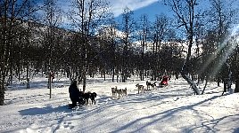 Enjoying a break with the dogs