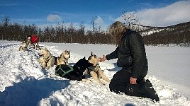 Enjoying a break with the dogs