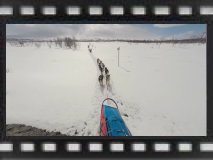 Just sledding along