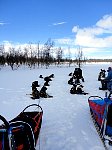 Dogsledding lunch break