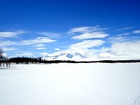 Vindelfjallens scenery