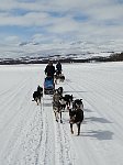 Me and dog sled on a lake