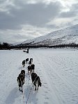 On the trail to Baverholmen