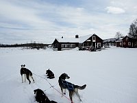 Baverholmen guest house