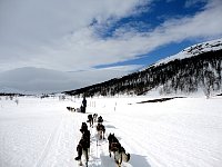 Good weather dog sledding