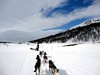 Good weather dog sledding