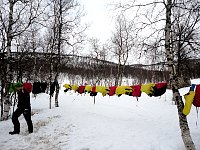 Dog jackets hanging for drying