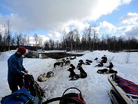 End of the dog sledding trail