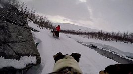 Bilbo dog cam view