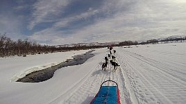 Dog driver trail view