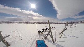 Sled at gate