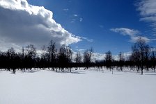 Vindelfjallens scenery