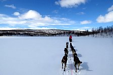 Dogsled and Vindelfjallens scenery