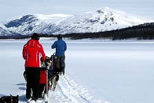 Dog sledding on a lake