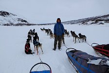 Dog sledding break