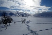 Waterhole on lake