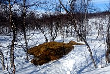 Big straw pile