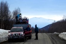 Dog trailer on road