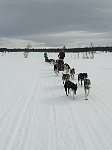 Me and the dogs on the way to Jaekkvik