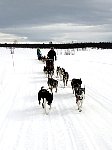 Me and the dogs on the way to Jaekkvik