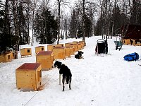 Oeverst-Jugtan dog houses