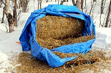 Straw stack