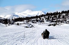 Crouching behind the sled