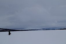 Dogsledding on Taerna Lake