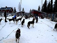 Ready to put the teams in front of the sled