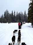 First day of sledding