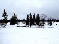 Open water in snow