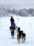 Catte's sled