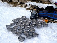 Dog bowls on snow