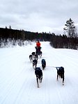 Constanze and her dog team on the road north from Ammarnaes