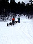 Constanze and her dog team on the road north from Ammarnaes